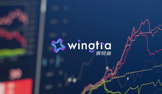 金融外貿(mào)數(shù)字化網(wǎng)站建設(shè)