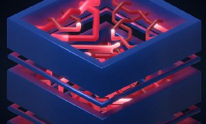 探究如何選擇最適合你的網(wǎng)站建設(shè)服務(wù)器？