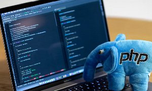 探索網(wǎng)站開(kāi)發(fā)的最佳選擇 - PHP還是.NET？