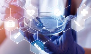 打造極致生物科技網(wǎng)站建設頁面風格把控要點