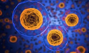 打造卓越醫(yī)療產(chǎn)品展示型網(wǎng)站建設(shè)：五大策略，引領(lǐng)行業(yè)風(fēng)尚！