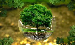 北京環(huán)保網(wǎng)站建設公司如何巧用色彩心理學，打造綠色生態(tài)企業(yè)網(wǎng)站