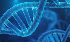 北京網(wǎng)站建設(shè)公司如何通過改版提升醫(yī)療生物公司網(wǎng)站品牌形象？