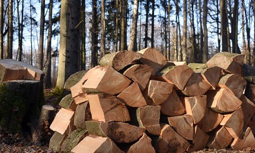 林業(yè)行業(yè)網(wǎng)站建設(shè)服務(wù)