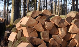 北京網(wǎng)站建設(shè)公司如何打造高質(zhì)量林業(yè)行業(yè)網(wǎng)站服務(wù)