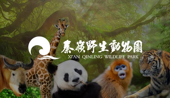 旅游景點(diǎn)動(dòng)物園網(wǎng)站建設(shè)
