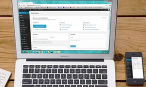 網站設計新潮流：新聞發(fā)布模塊的關鍵價值凸顯
