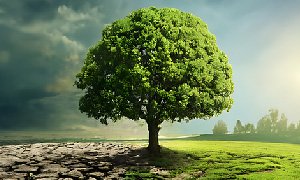 青海網(wǎng)站建設(shè)如何優(yōu)化農(nóng)業(yè)公司官網(wǎng)的頁面加載速度