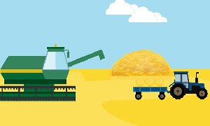 寧夏網站建設：聚焦糧食公司用戶體驗，解鎖業(yè)務增長新路徑