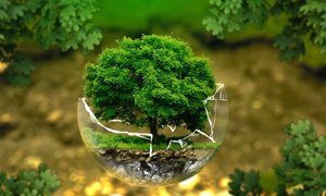 旅游網(wǎng)站建設該如何開展