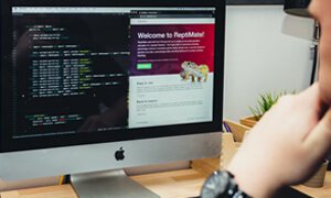 企業(yè)網站建設需把握的核心要領