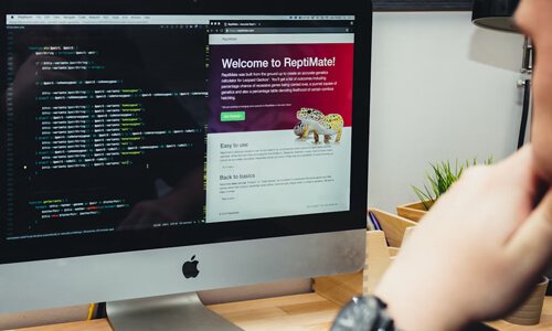 企業(yè)網(wǎng)站建設(shè)需把握的核心要領(lǐng)